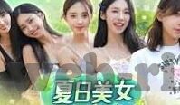 麻豆视频app大全-寻找视频娱乐新体验，麻豆视频App全面解析与应用指南
